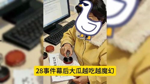 吃瓜文件帽子叔,一场网络舆论的风暴与反思