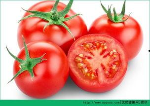 吃瓜大白温颜番茄,揭秘网红美食背后的故事