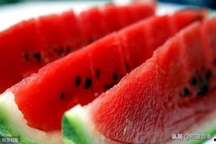 吃瓜影视菌,吃瓜影视菌带你揭秘娱乐圈那些事儿