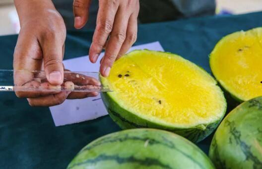 吃瓜福,揭秘娱乐圈背后的甜蜜与苦涩