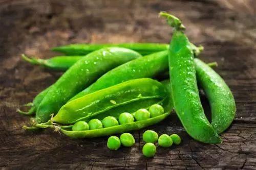 海衫文化吃瓜,揭秘网络“吃瓜”现象背后的社会心理