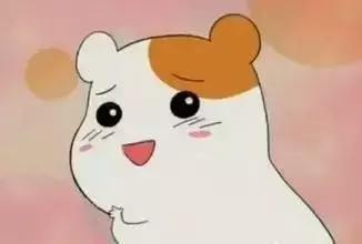 吃瓜党小说,吃瓜党小说里的悬疑世界